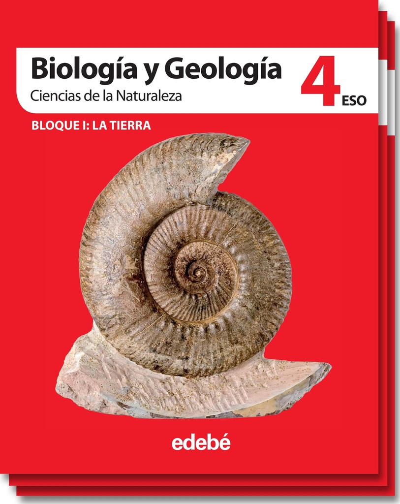 BIOLOGÍA Y GEOLOGÍA 4