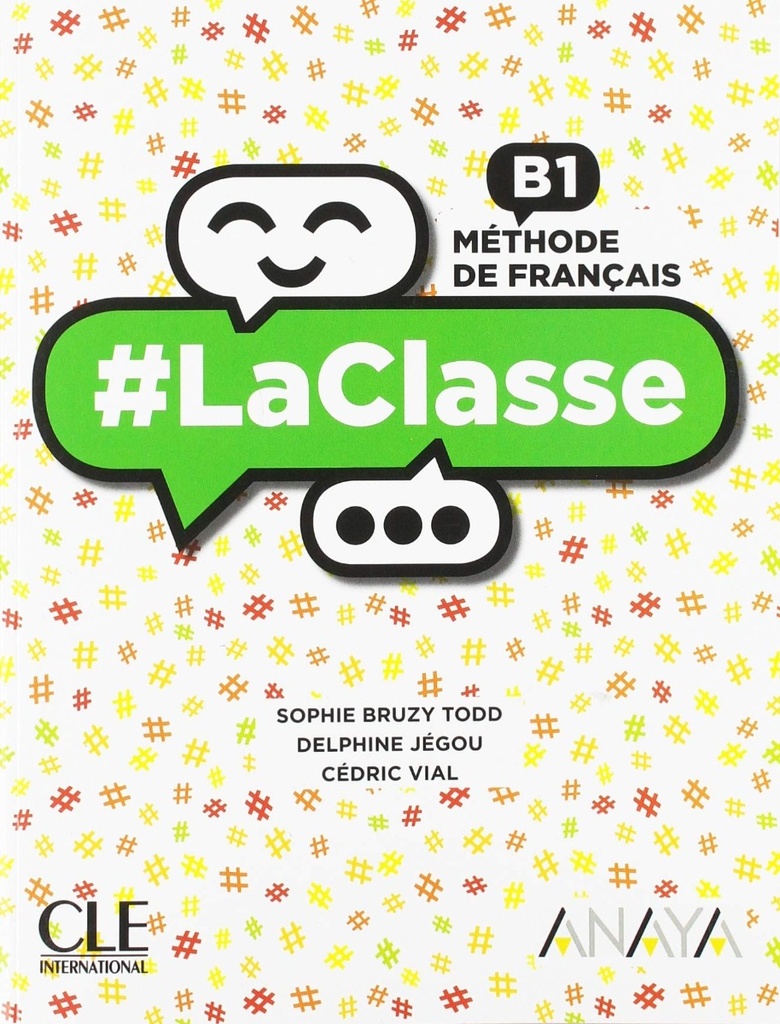 La classe niveau B1 élève