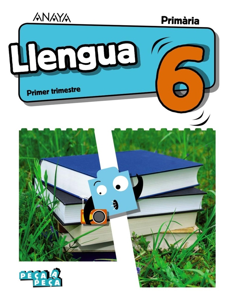 Llengua 6