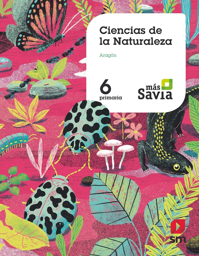 Ciencias de la naturaleza. 6 Primaria. Más Savia. Aragón