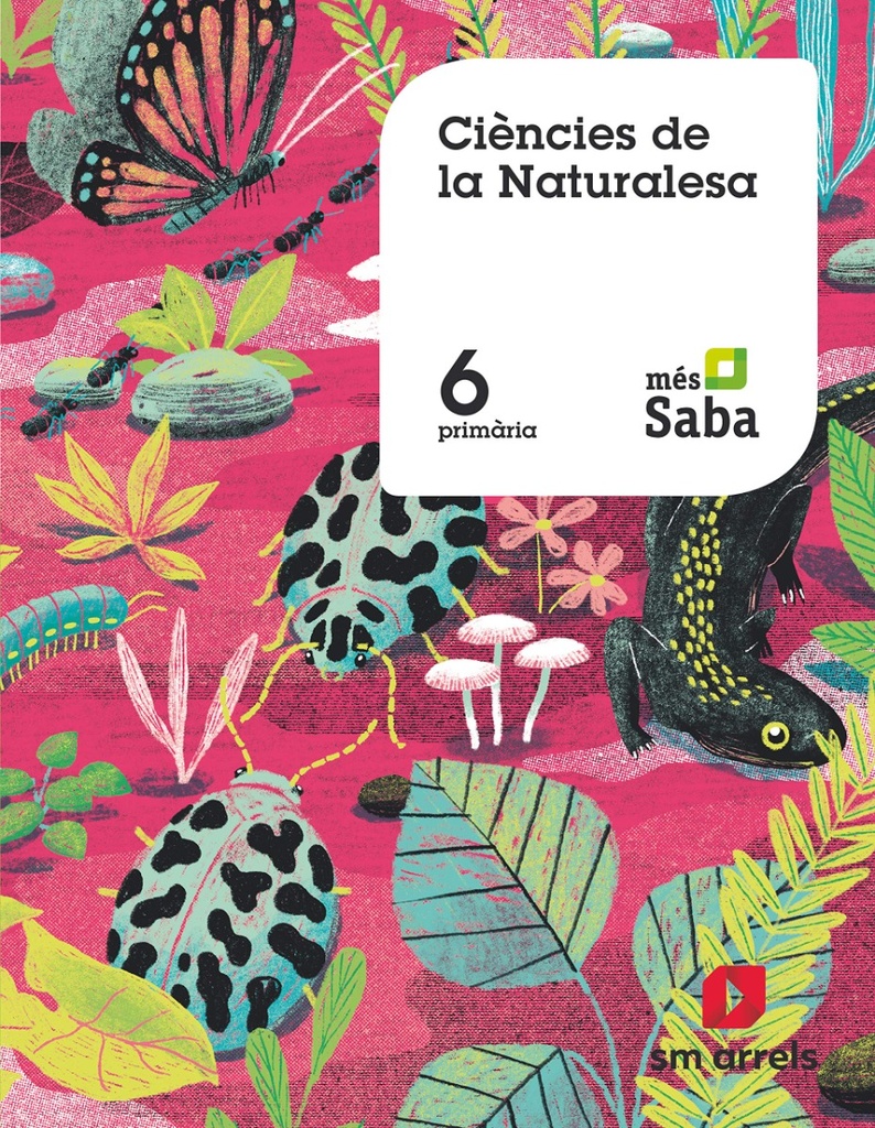 Ciències de la naturalesa. 6 Primária. Més Saba