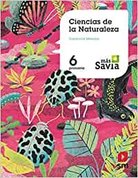 [9788491822936] Ciencias de la naturaleza. 6 Primaria. Más Savia. Castilla La Mancha