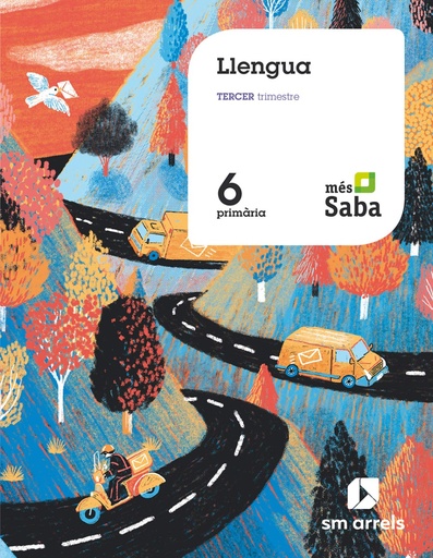 [9788491824138] Llengua. 6 Primária. Más Saba